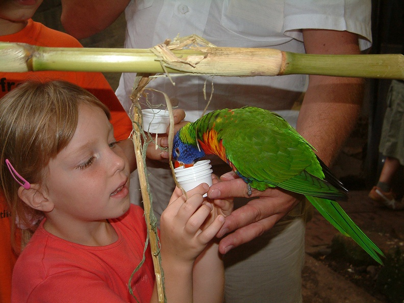 DSCF0060.JPG