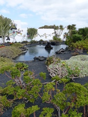 P1020256