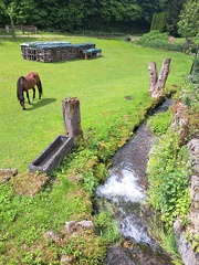 IMG-20240525-WA0010