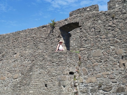 IMG 20240727 115657