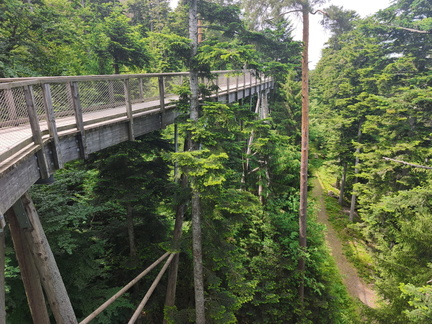 IMG 20260602 125912